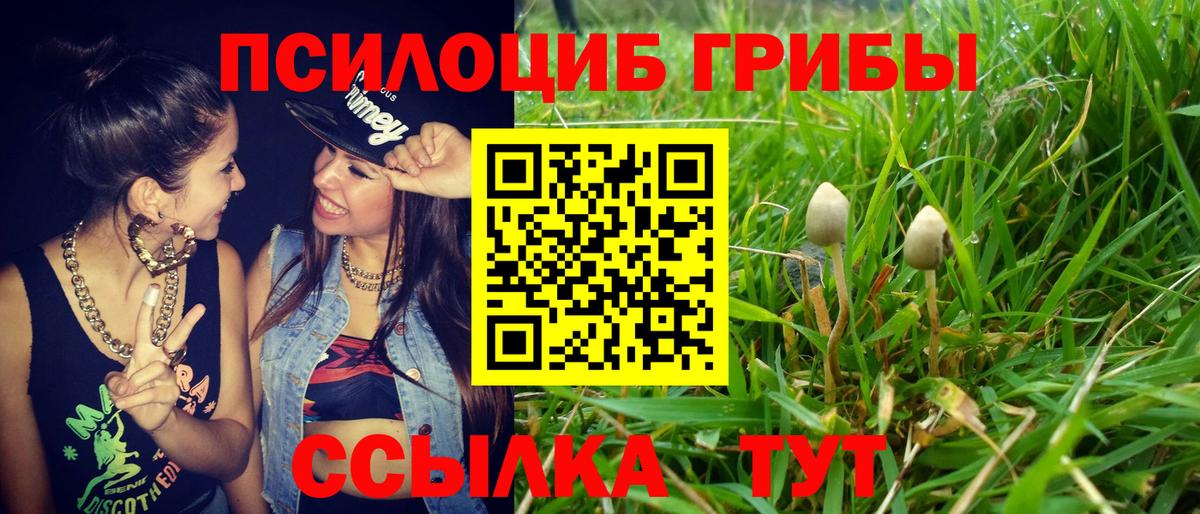 Псилоцибиновые грибы Psilocybe  Вход с VPN  что такое наркотик  Невинномысск 